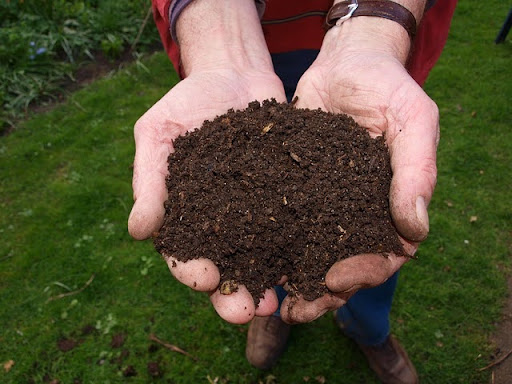 Peut-on jeter la litière au jardin ? Conseils pour votre compost